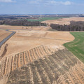 DJI_20250327142320_0171_D.JPG