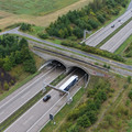DJI_20260909143509_0126_D.JPG