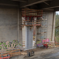 _1070157.R1.Published.jpg