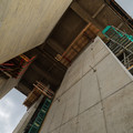 _1070289.R1.Published.jpg