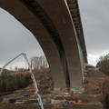 _1070325.R1.Published.jpg