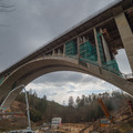 _1070329.R1.Published.jpg
