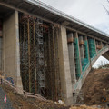 _1070363.R1.Published.jpg