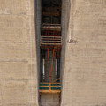 DJI_20250328093545_0555_D.JPG