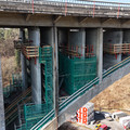 DJI_20250328095311_0576_D.JPG