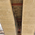 DJI_20250402131305_0668_D.JPG