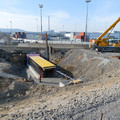 P1015418.JPG