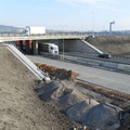 P1015431.JPG