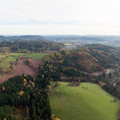 DJI_0455.jpg