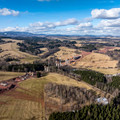 DJI_0785.jpg