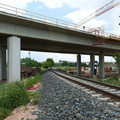 P1016953.JPG