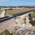 DJI_20250714085331_0117_D.JPG