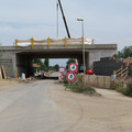 P1018865.JPG