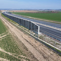 DJI_20260319095532_0071_D.JPG