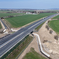 DJI_20260319095850_0088_D.JPG