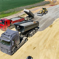 DJI_20250428111259_0269_D.JPG