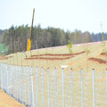 DSC_0110.JPG