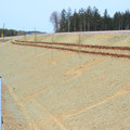 DSC_0111.JPG