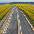 DJI_20260504103849_0083_D.JPG