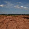 DSC_5550.JPG
