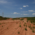 DSC_5551.JPG