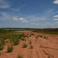 DSC_5552.JPG