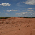 DSC_5555.JPG