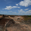 DSC_5580.JPG