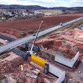 DJI_20250317113801_0387_D.JPG