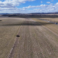 DJI_20250317124423_0458_D.JPG