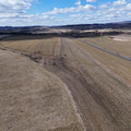 DJI_20250317124551_0465_D.JPG