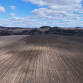 DJI_20250317133813_0505_D.JPG
