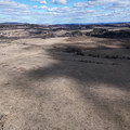 DJI_20250317134128_0513_D.JPG