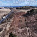 DJI_20250317135559_0527_D.JPG