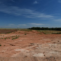 DSC_5450.JPG