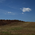 DSC_5452.JPG