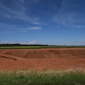 DSC_5455.JPG
