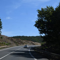 DSC_5461.JPG