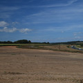 DSC_5465.JPG