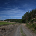 DSC_5472.JPG