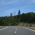 DSC_5479.JPG