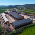 DJI_20260525085601_0320_D.JPG