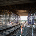 DSC09217.jpg