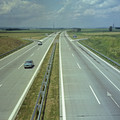 193.jpg