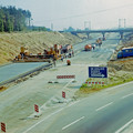 236.jpg