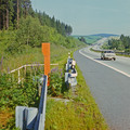262.jpg