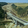 96.jpg