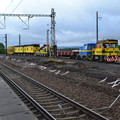 DSC_0230.JPG
