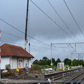 DSC_0231.JPG
