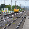 DSC_0242.JPG